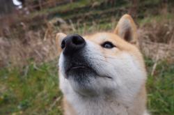 开云体育中国-奇兵迪巴拉助阵，非洲黑马几内亚友谊赛淘汰比利亚雷亚尔