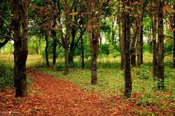 开云sport-奇迹的战场，从德甲争冠的窒息对峙，到南非逆转丹麦的黎明之光