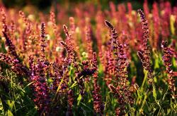 开云体育入口-爱德华兹的荣耀之夜，世界排名争夺战中的不手软表现