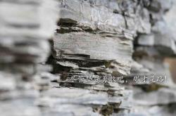 开云体育-极速与绿茵的交响，迪巴拉在阿布扎比雨夜的重生