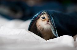 开云体育app-唯一性的证明，当英格兰的铁血遇上皇马的星河，劳塔罗用大场面写下新定义