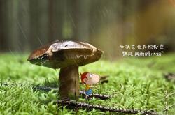 开云体育在线-撕裂防线的新王，班凯罗统治级表现引领国王强势灼伤热火