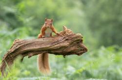 开云体育官网-硬仗基因，从德甲争冠的窒息时刻到奇才逆转76人的启示