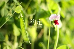 开云体育平台APP-卡塔尔资本旗下巴黎圣日耳曼斩落塞维利亚，韩国新星李刚仁化身关键先生