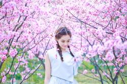 开云sport-奥兰多奇幻夜，当篮球化为魔术，杜兰特挥就大场面终极预言