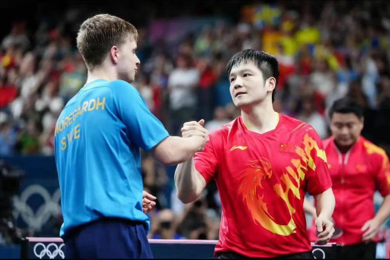 德国乒乓球队爆冷波兰乒乓球队，樊振东送出助攻的简单介绍