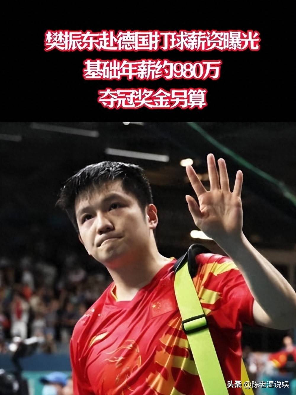 德国乒乓球队爆冷波兰乒乓球队，樊振东送出助攻的简单介绍