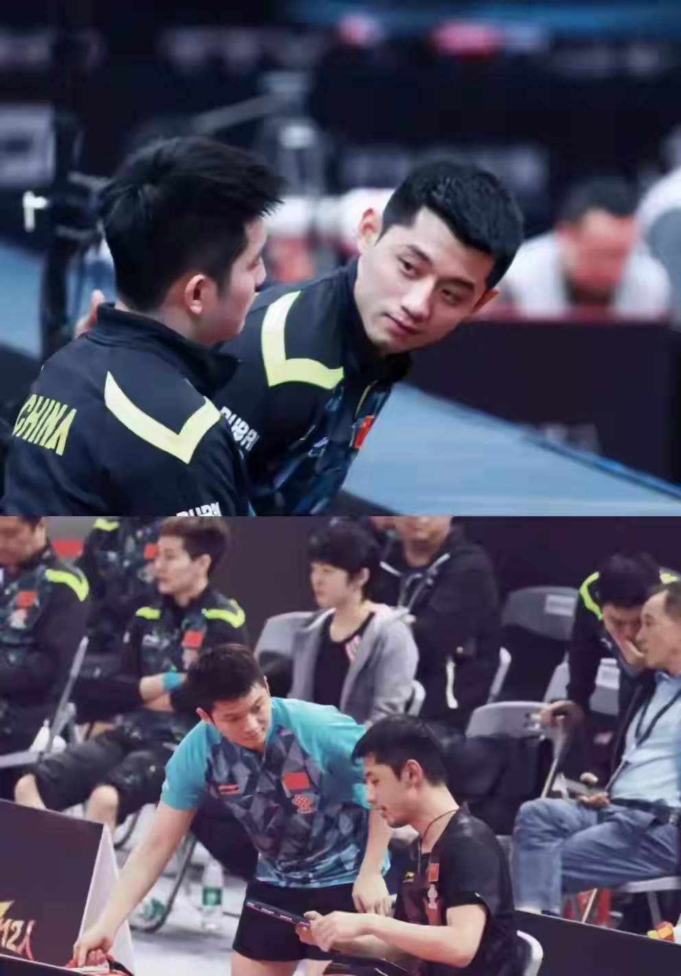 德国乒乓球队翻盘韩国乒乓球队，张继科送出助攻的简单介绍