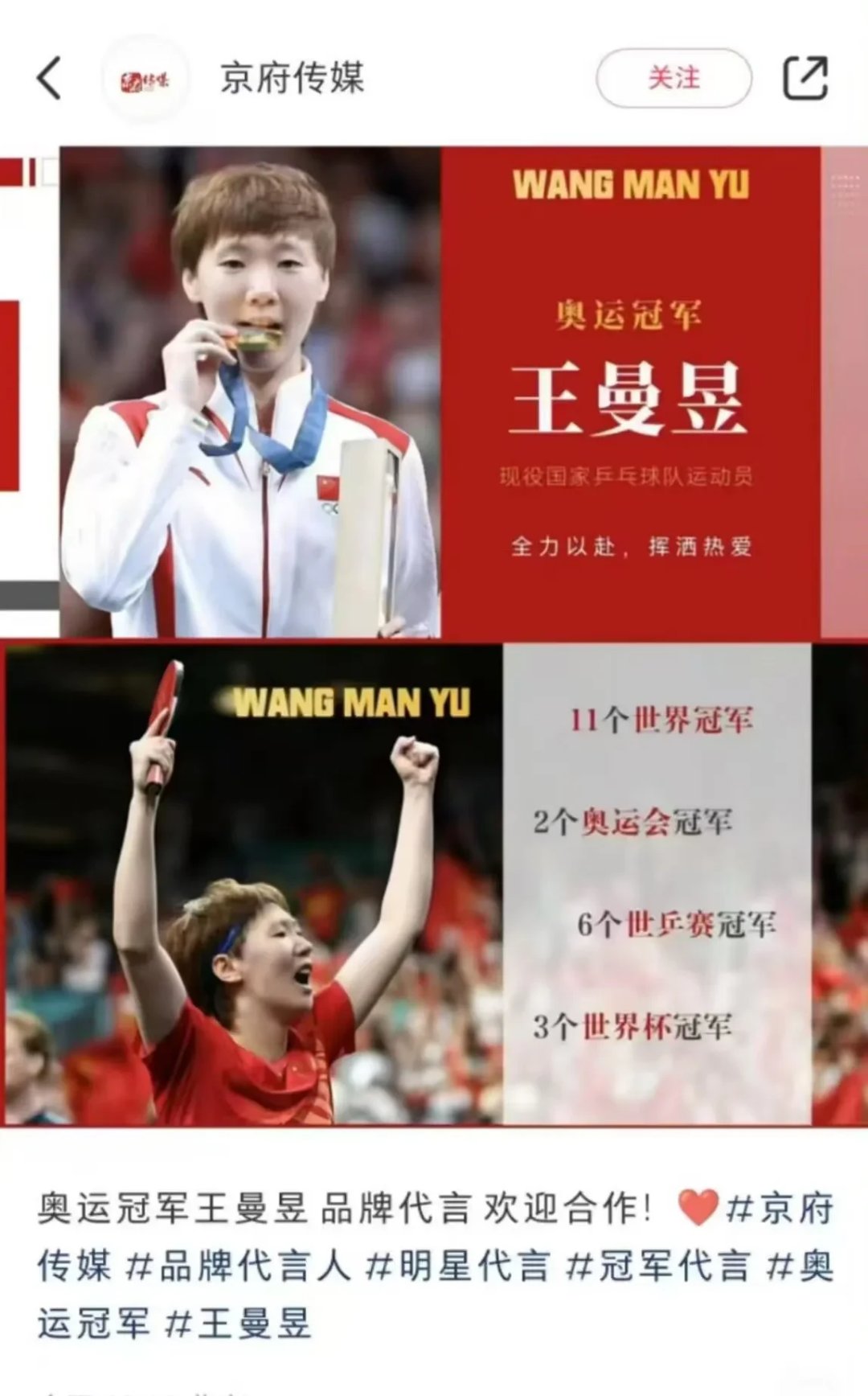 中国羽毛球队血洗日本羽毛球队，马琳高光表现的简单介绍