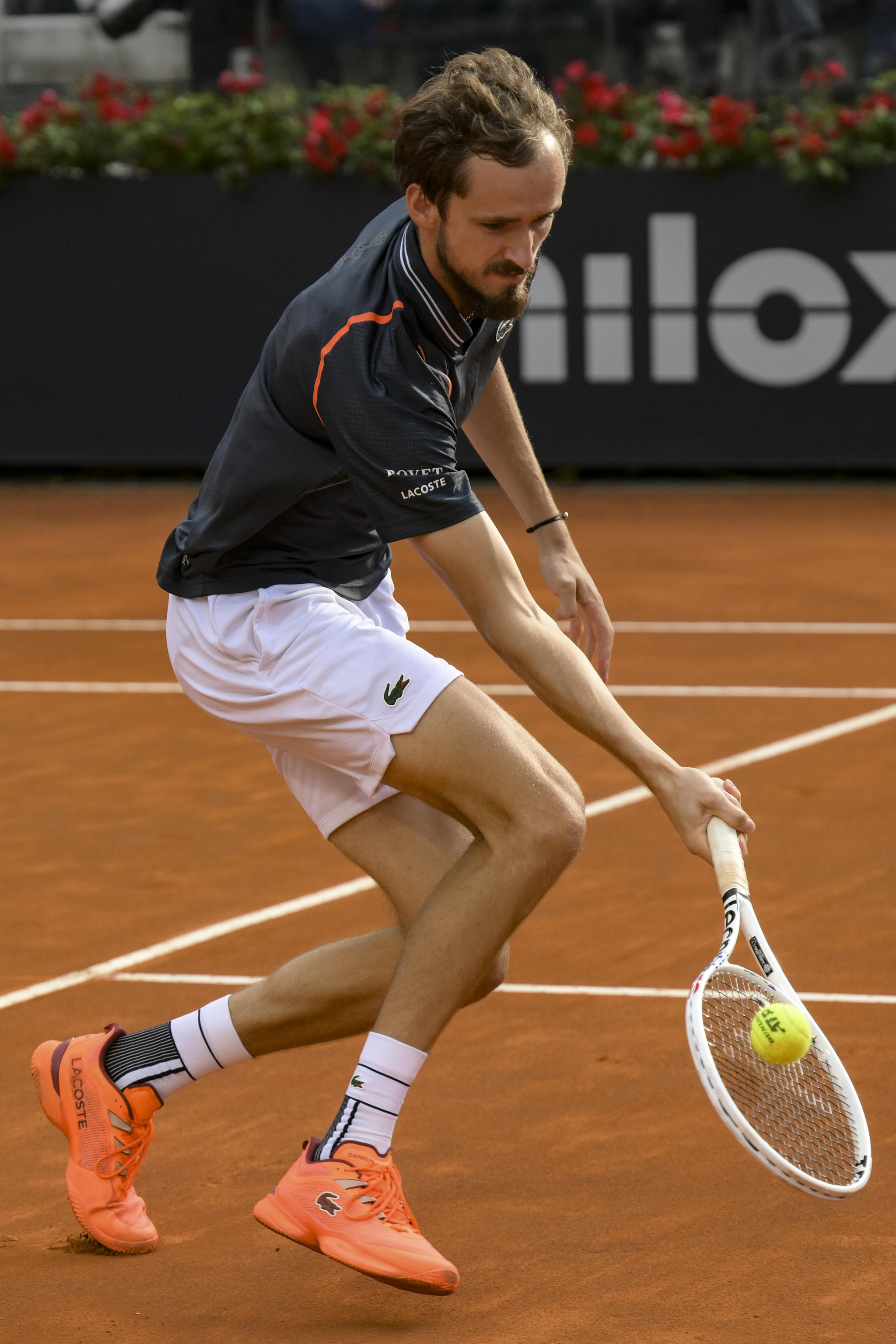 意大利网球队翻盘欧洲网球队，梅德韦杰夫高光表现的简单介绍