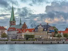 丹麦羽毛球队险胜法国羽毛球队，斯里坎特关键制胜