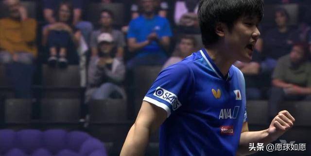 葡萄牙队完胜日本队，张本智和状态火热