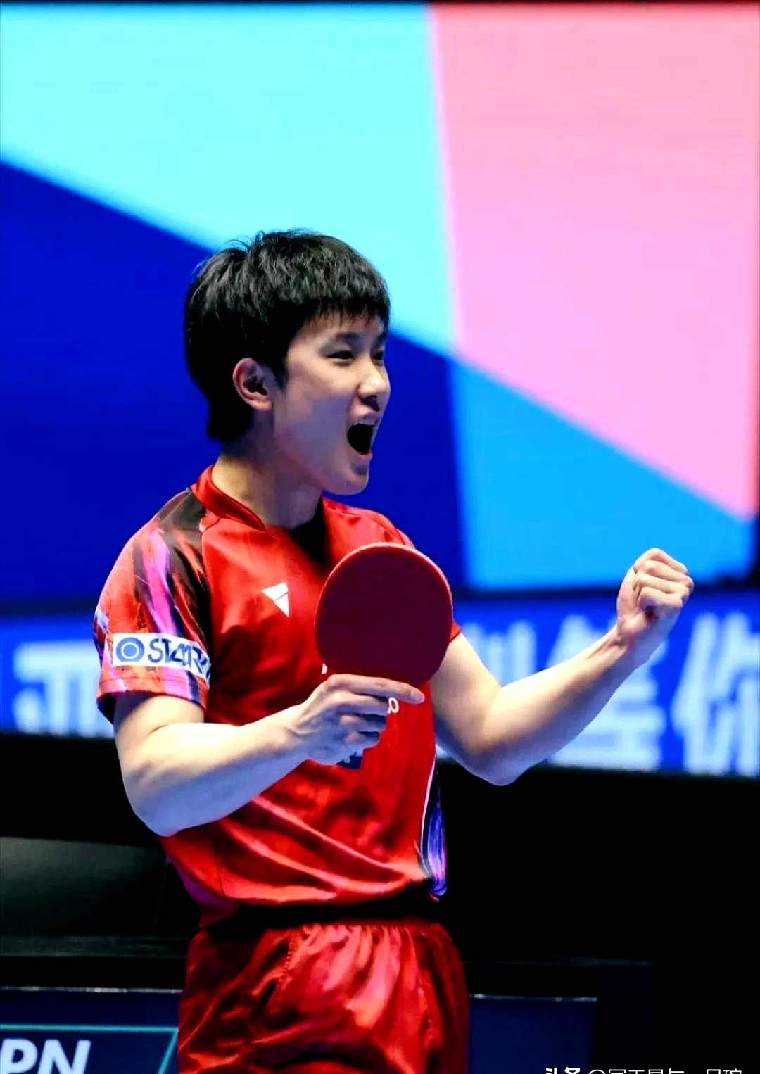 葡萄牙队完胜日本队，张本智和状态火热