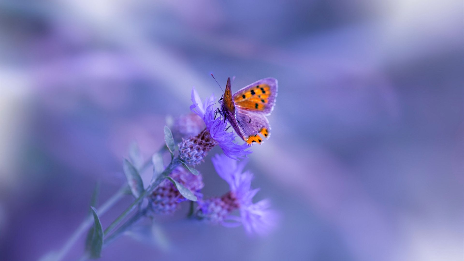 孤胆英雄与大江逆流，詹姆斯一球改写争霸史