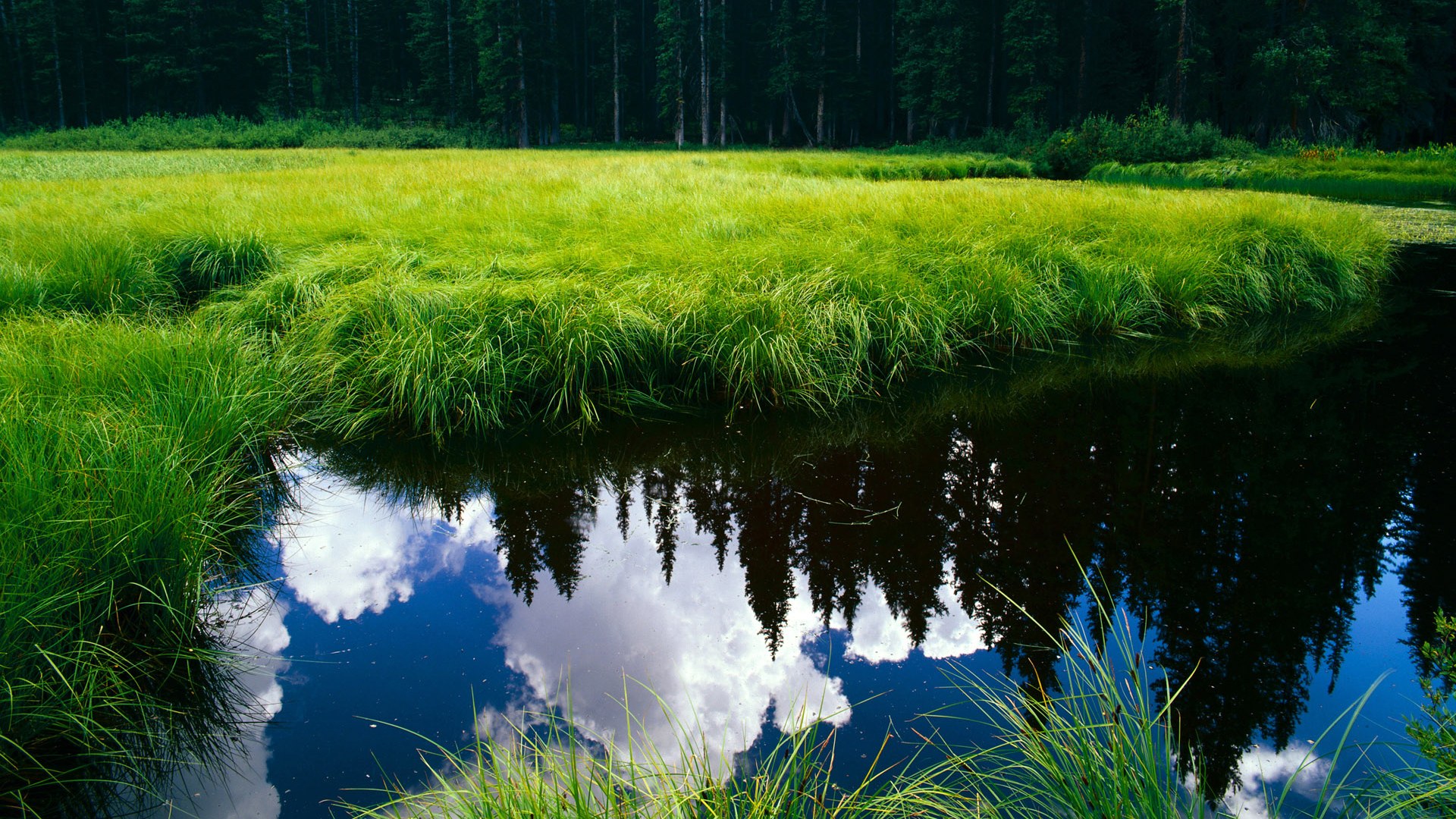 寂静革命,当梅赛德斯改写F1物理法则,塞恩斯用数据雕刻时间