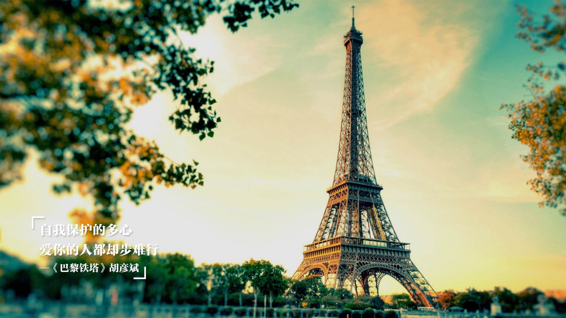 麦迪逊花园的配角之怒,当布伦森用独行侠的匕首,刺穿公牛的盾牌