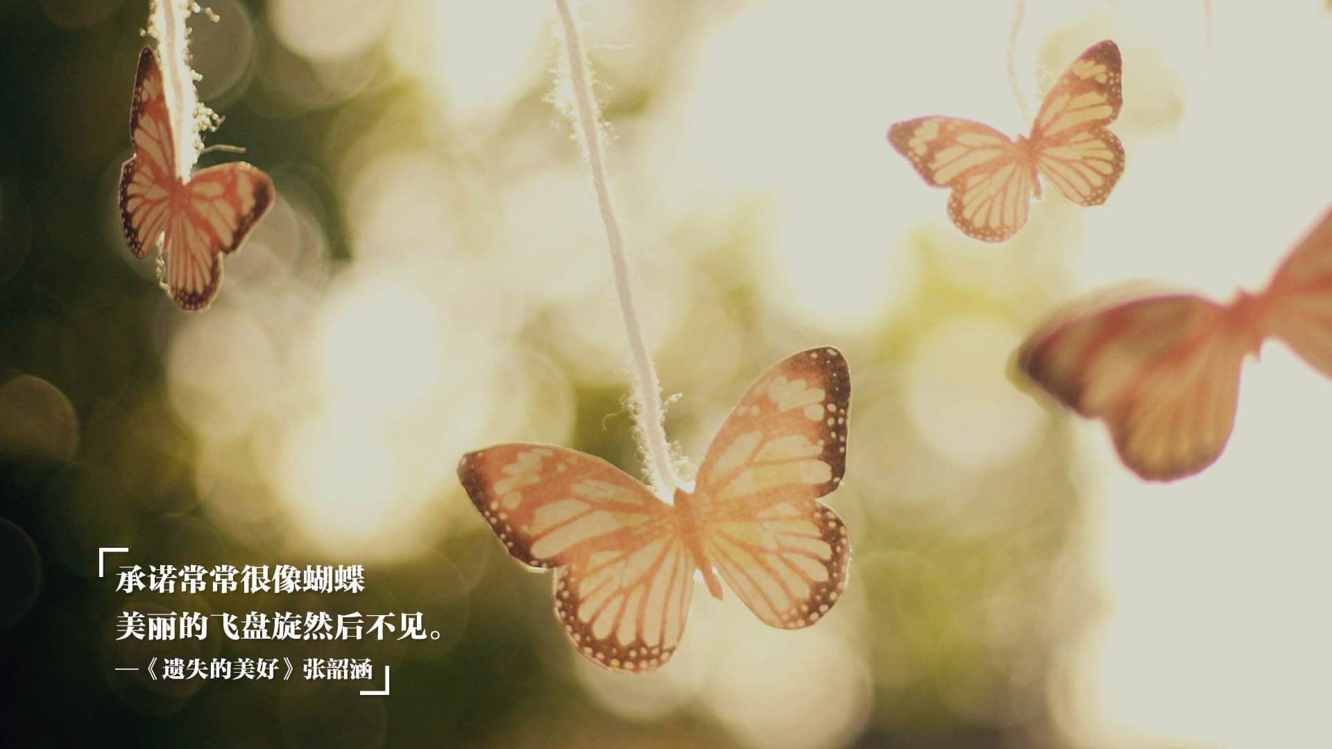 英超阴影下的双城记，皇家社会击碎傲慢，孙兴慜照亮亚洲之光