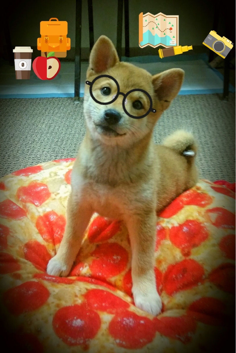 颠覆预期的绿茵权杖，加克波在哥斯达黎加的强压交响中加冕