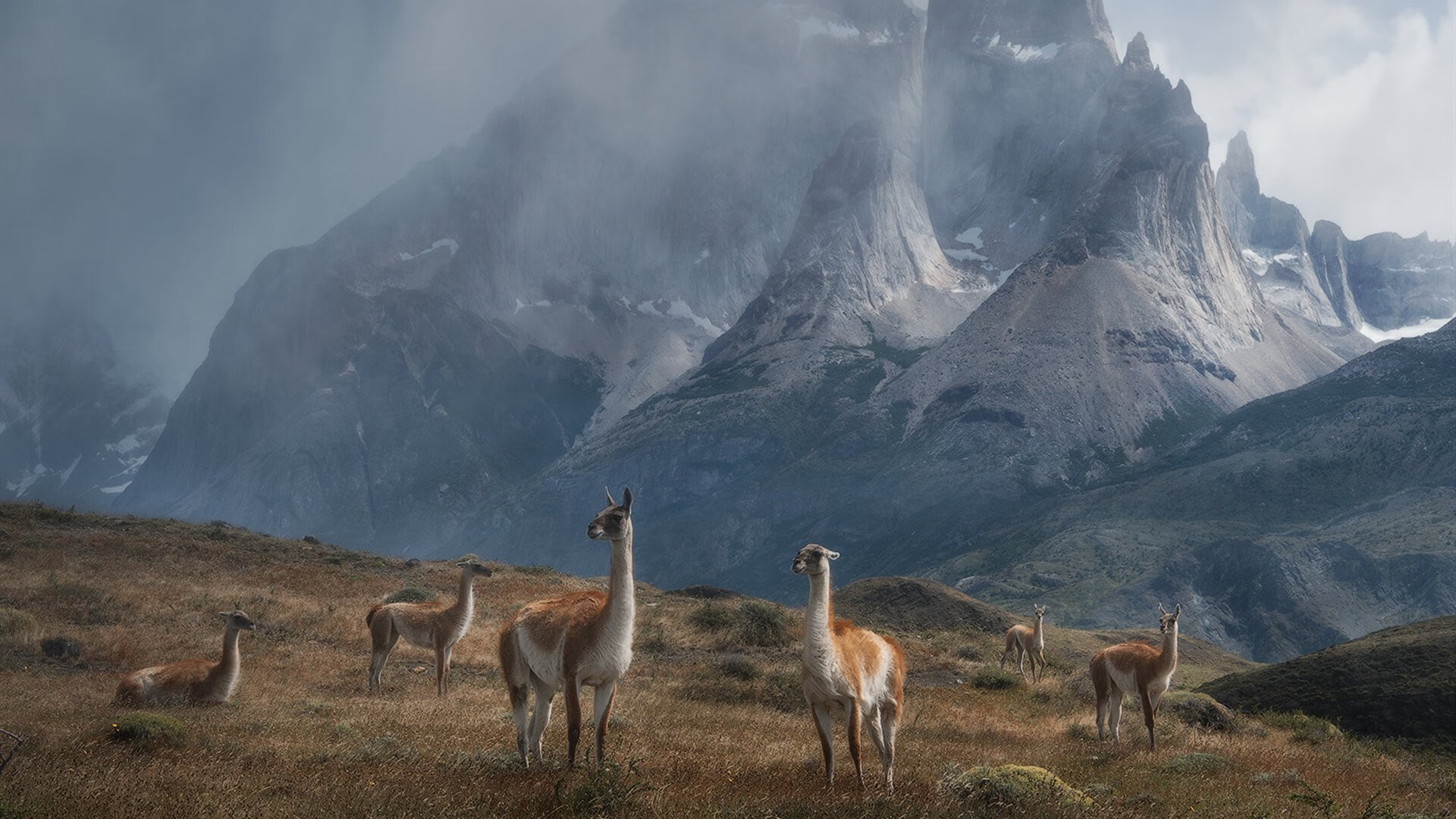 纯粹与重金的对决，恩佐闪耀，卡塔尔资本如何冲垮阿森纳的传统防线