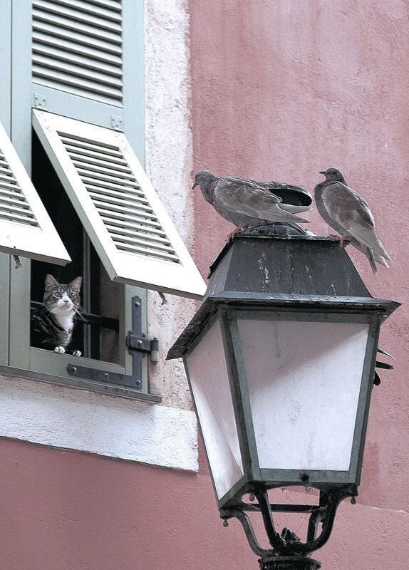 杜兰特的无解之谜，新疆队如何从尼克斯手中带走篮球智慧