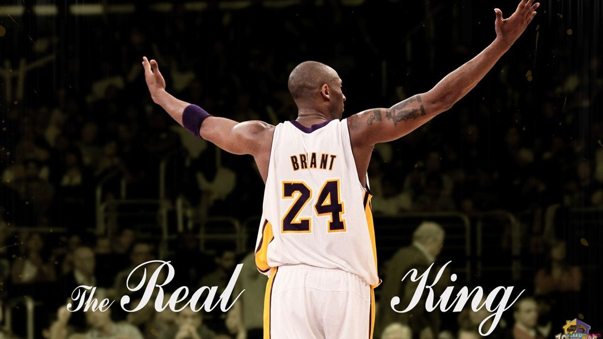 奥运周期与战术纪律，马刺稳字诀击落火箭的启示