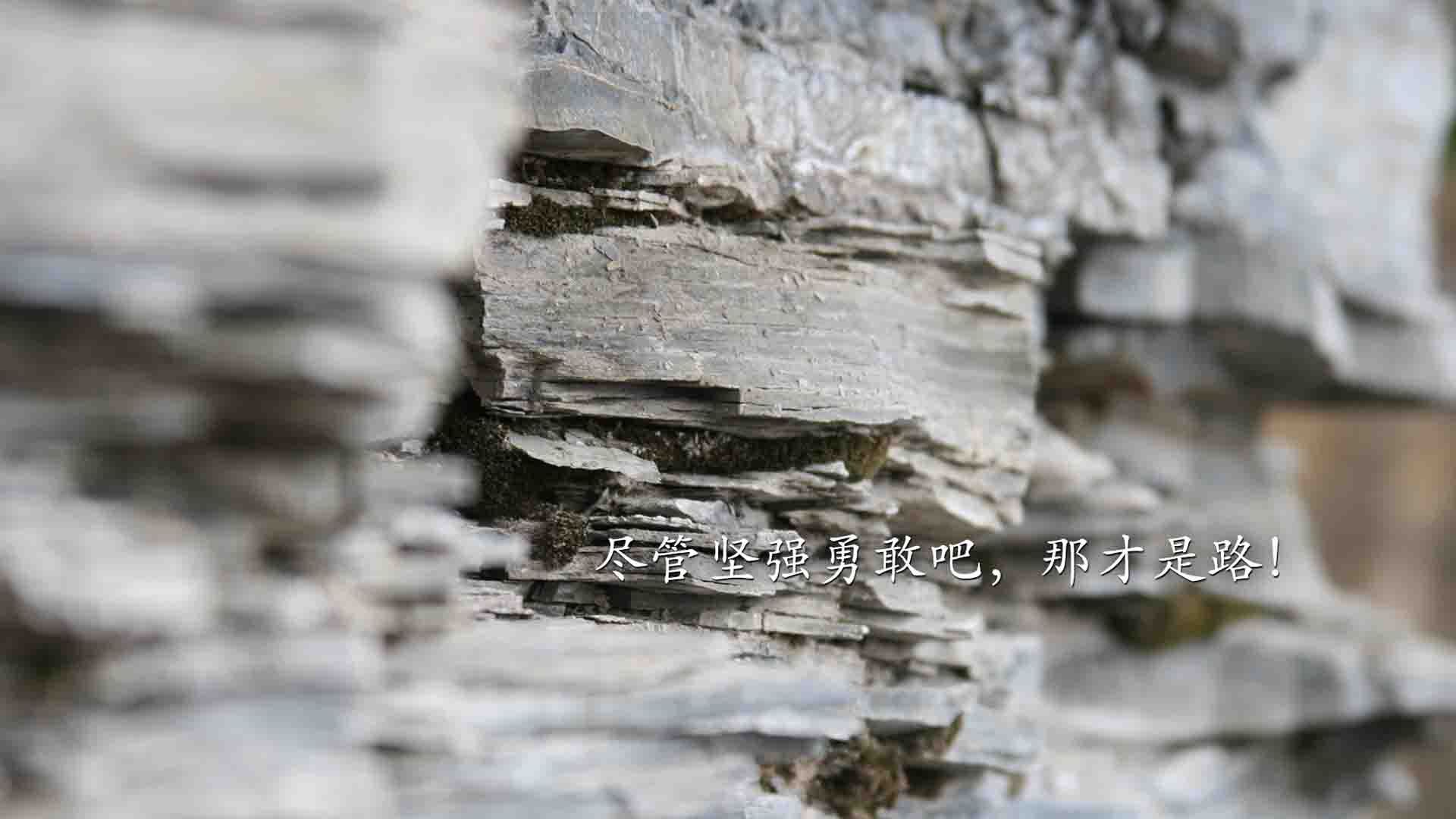 磨破纪录,苏亚雷斯一球定乾坤,哥斯达黎加铁网下见真章