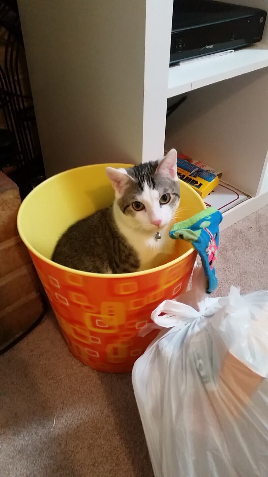 那一夜的河内，贝林厄姆的脚尖，改写了2026年世界杯的东方叙事