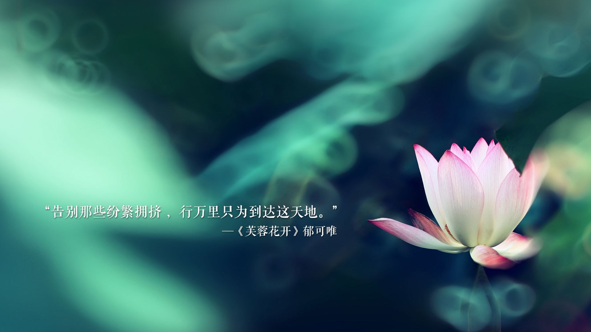 2026世界杯关键战,阿诺德唯一使命,西班牙与巴西的终极博弈
