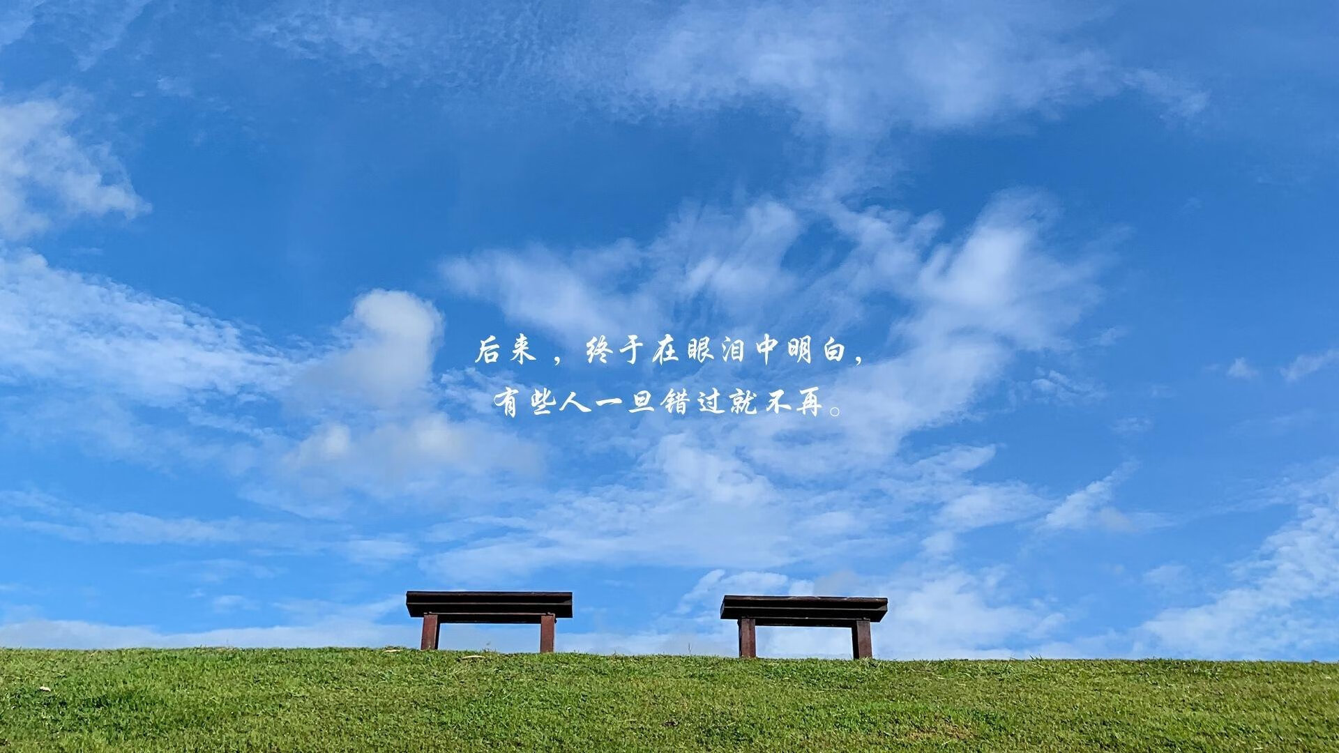 绝杀之夜,穆西亚拉点亮2026世界杯F组,德国战车碾压比利时上演王者归来