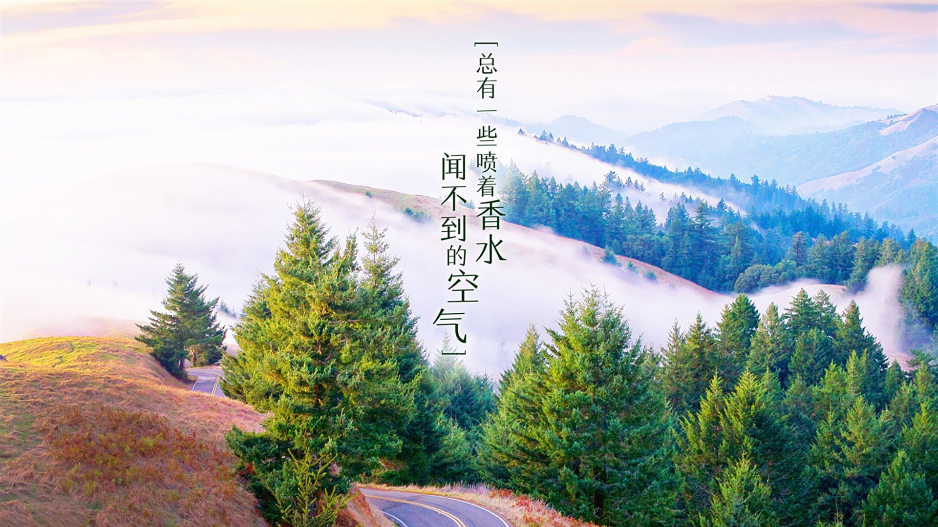 宿命的弧线,2026,当比利时黄金一代用B费的致命一击,为葡萄牙黄金时代画下句点