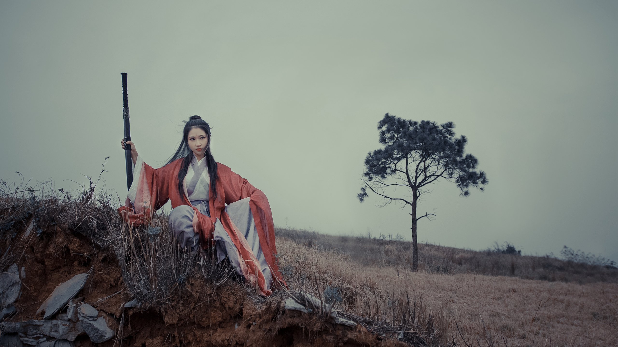 孤星耀世,2026世界杯B组关键战,厄瓜多尔碾压伊朗背后的唯一法则—登贝莱的孤勇与南美新王的崛起