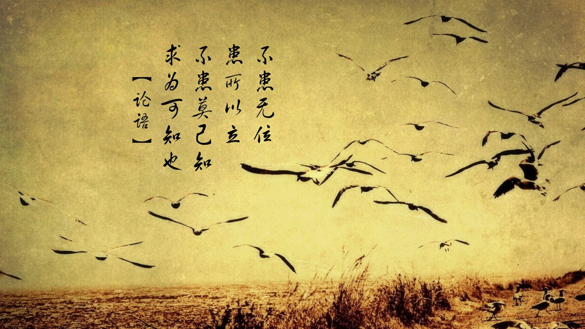 当足球上帝穿上红衣，2026，姆巴佩的临场封神与卡塔尔奇迹的最后一厘米